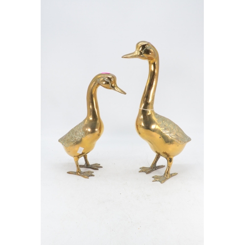 323 - Two brass geese figural ornaments (tallest approx. 35cm)