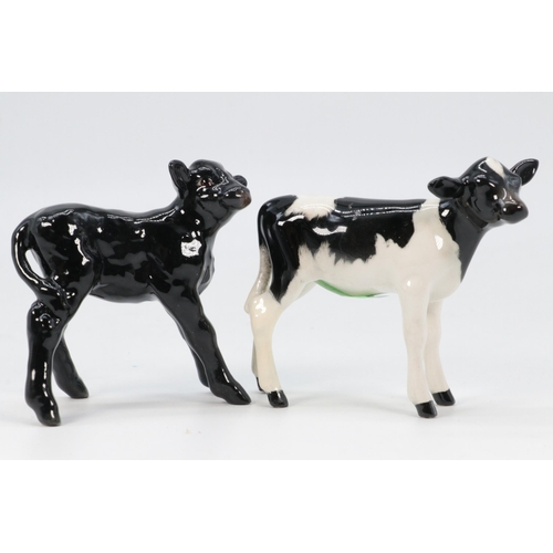 48 - Beswick Aberdeen Angus calf together with a Fresian calf