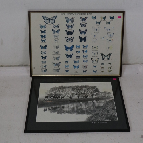 63 - Photograph of Glastonbury scene together with a British butterfly identification chart