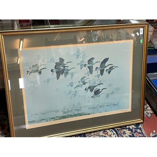 428 - A framed Peter Scott limited edition print 891/950 pencils signed, showing some discolouration