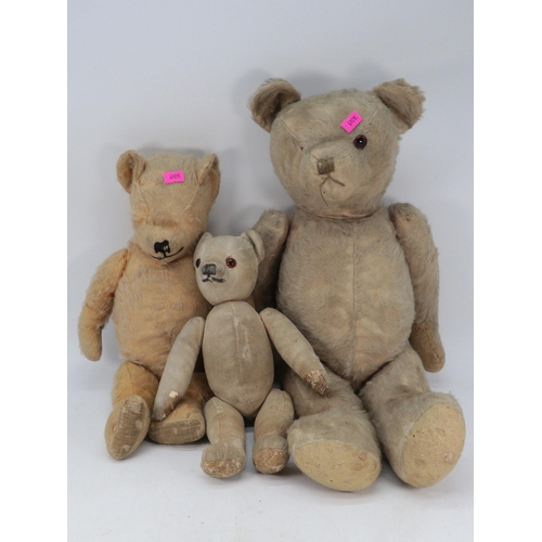 547 - Three vintage Teddy bears