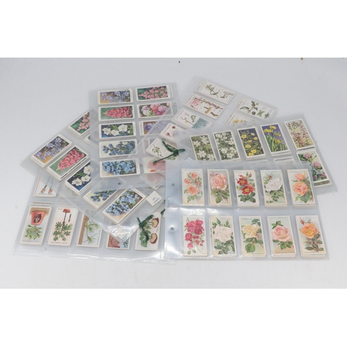 37 - A selection of cigarette cards to include Will's A series of 50 Roses;  Will's Garden Flowers x 2 (5... 