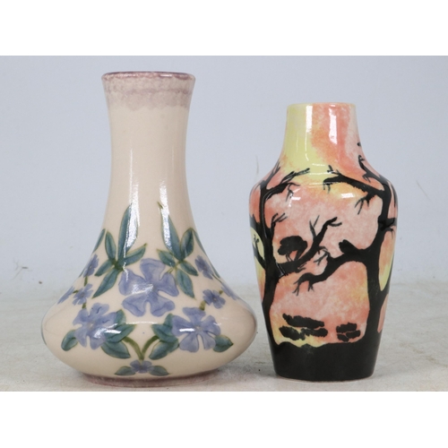 119 - Two Cobridge decorative vases with original boxes