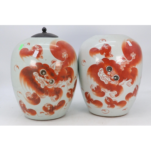 118 - Antique Chinese ginger jars decorated Koi, and Dogs of Fo, with script to the reverse, no lids both ... 