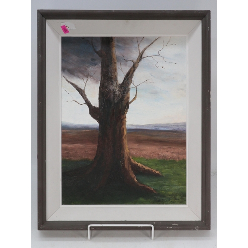 339 - Oil on board of a tree, signature indistinct, frame measures approx. 49cm x 39cm