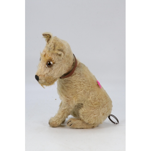 139 - 1930s Steiff dog The Rattler with Steiff  button in ear and on collar. height approx.