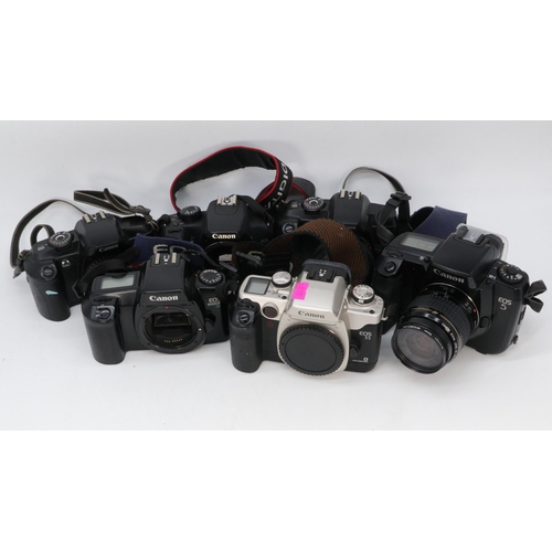 273 - A selection of Canon EOS film camera including two EOS 5000, EOS 1000F, EOS 55, EOS 5 and EOS Kiss