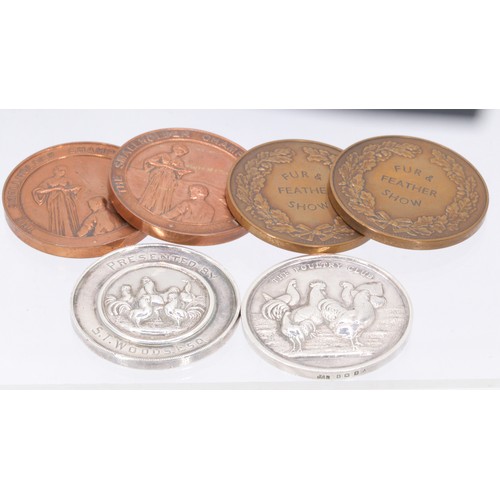 195 - Two silver hallmarked poultry club silver medallions/coins 1877 & 1916 together with some bronze exa... 