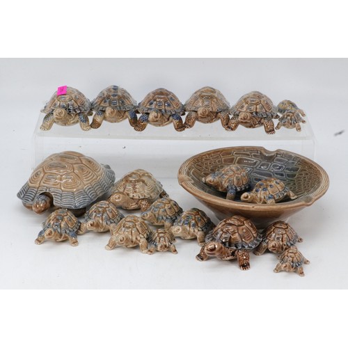 76 - Collection of Wade tortoises, including two original boxed, Many variants.