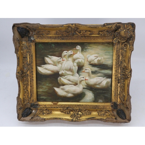 175 - Gilt framed oil on board of white ducks