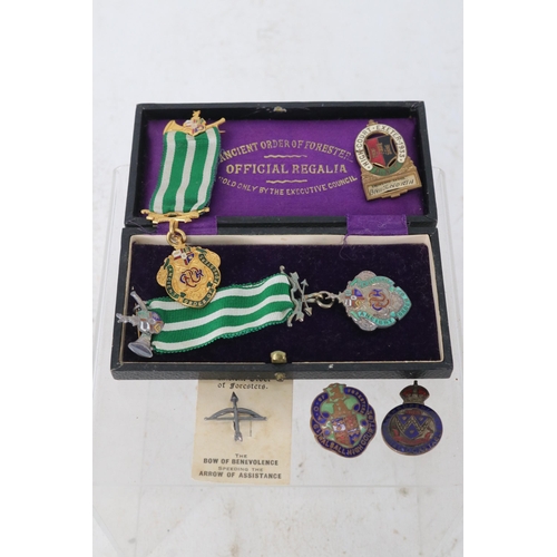 30 - Collection of Ancient order of Foresters enamel badges and medals, one silver