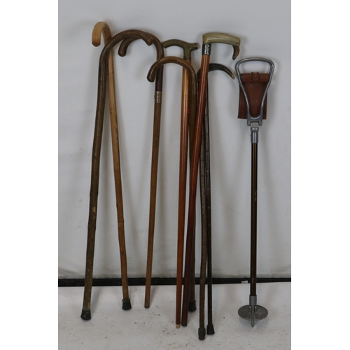 41 - Quantity of walking sticks some with silver / white metal collars