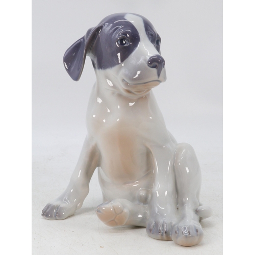 80 - Royal Copenhagen puppy (pointer) 1937, approx. 20cm high