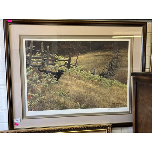 541 - Framed Limited Edition Print 