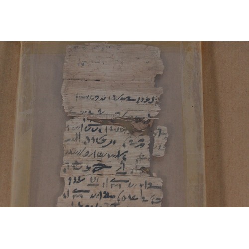 262 - A Papyrus demotic document bought in Cairo in 1965 with copies of supporting authentication document... 