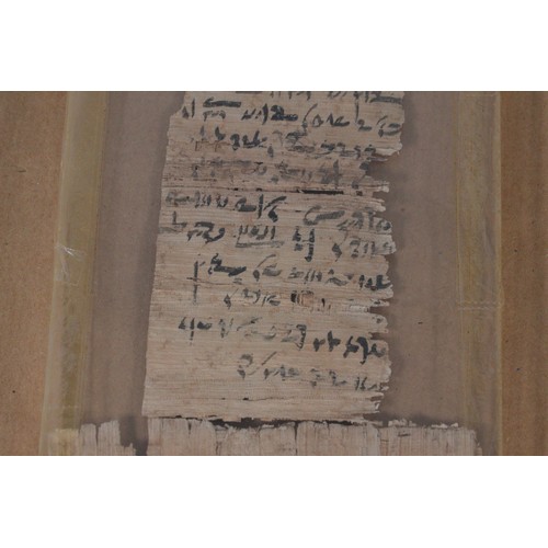 262 - A Papyrus demotic document bought in Cairo in 1965 with copies of supporting authentication document... 