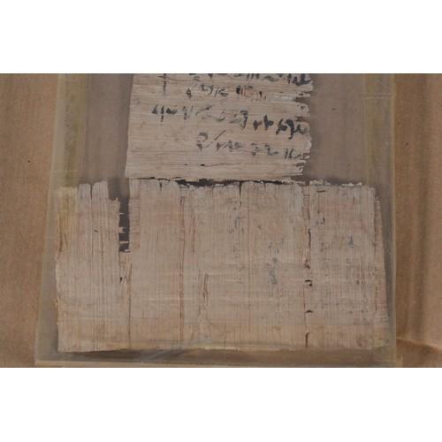 262 - A Papyrus demotic document bought in Cairo in 1965 with copies of supporting authentication document... 