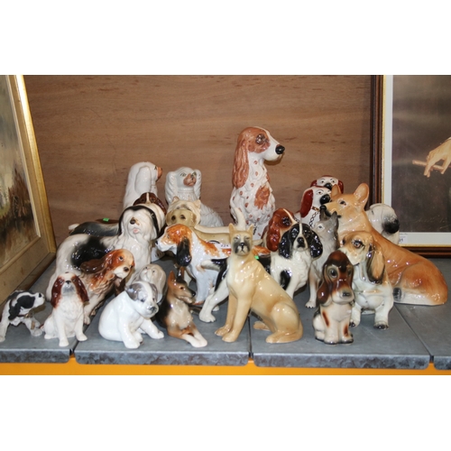 224 - A large selection of assorted ceramic dogs including Staffordshire spaniels etc