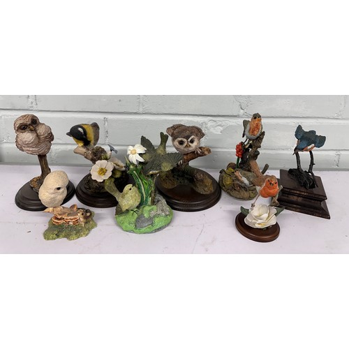 752 - A selection of assorted Bird figurines to include Country Artists Robin with Camelia, Danbury Mint R... 