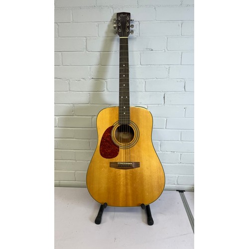 Lot 37        
