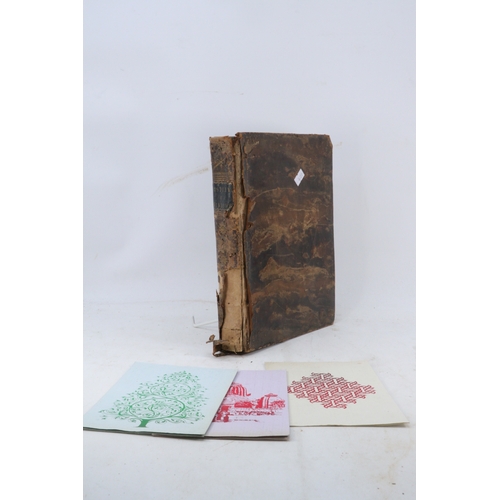 Lot 40        