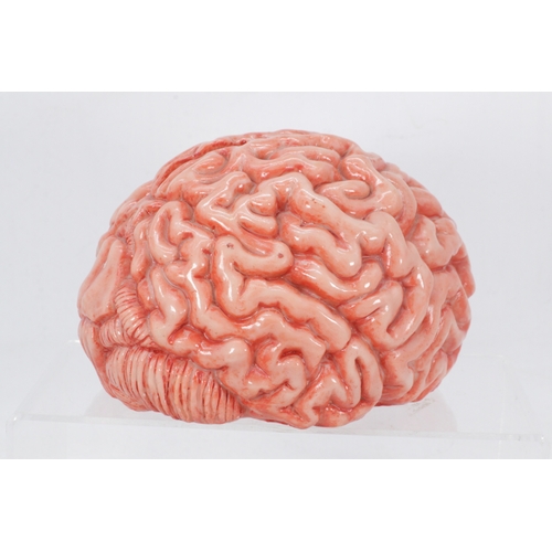 Ceramic money box in the form of a brain
