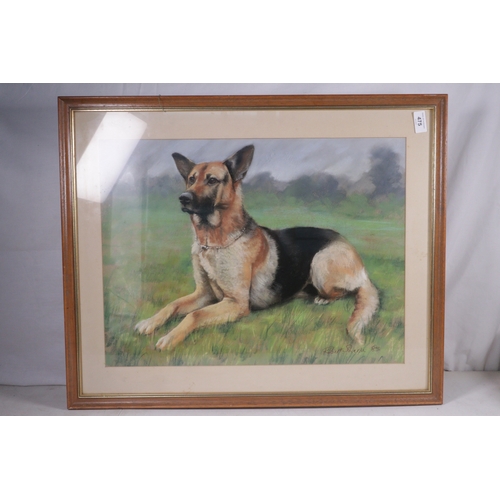 475 - Framed picture of a German shepherd dog, Two framed prints by Carol Grigg