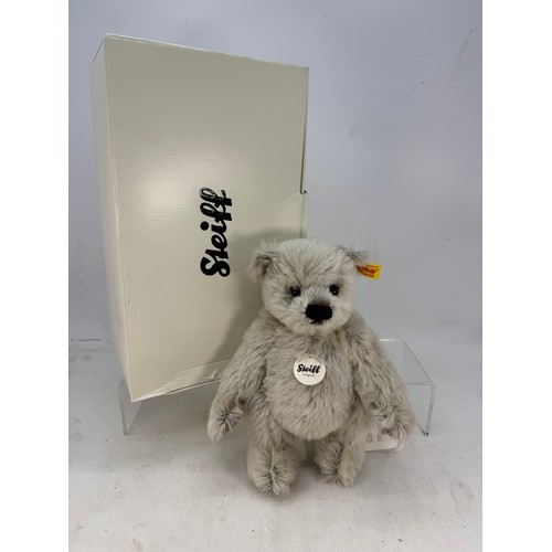 798 - Boxed Steiff Classic bear approx. 25cm