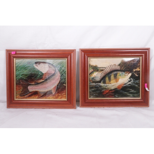 263 - Two Graham Payne oil pictures depicting fish, pictures measure approx. 25.5cm x 20cm