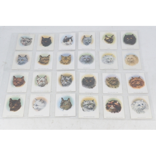 Lot 196       
