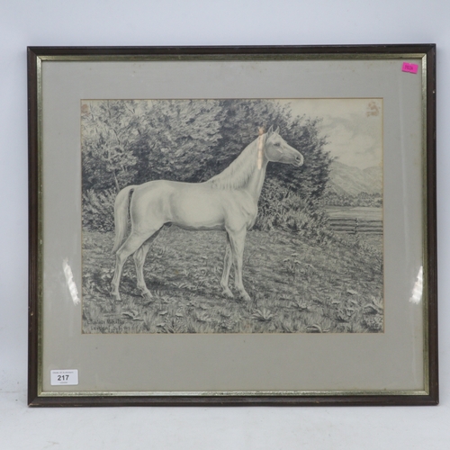Lot 217       