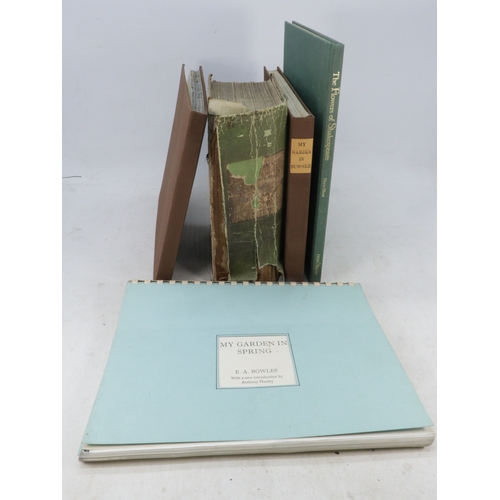 Lot 243       