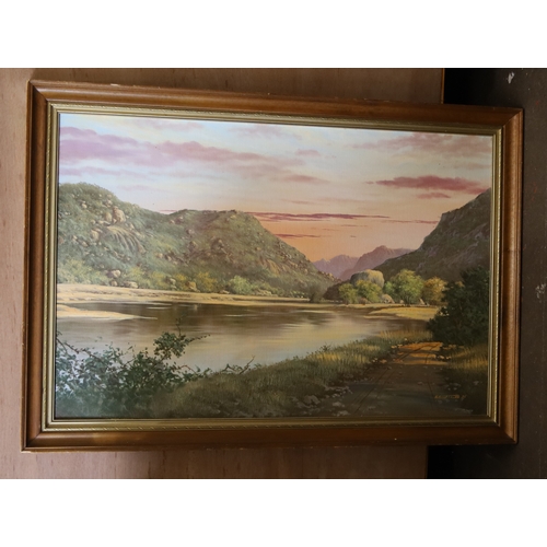 Lot 20        