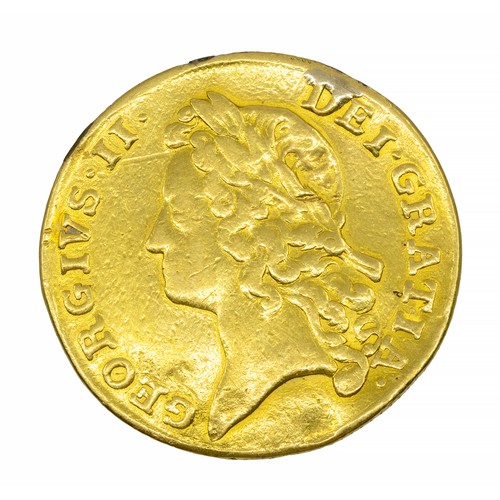 Lot 56        