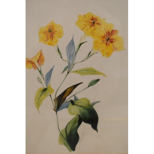 Auctions - Hansons Auctioneers