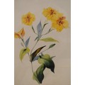 Auctions - Hansons Auctioneers
