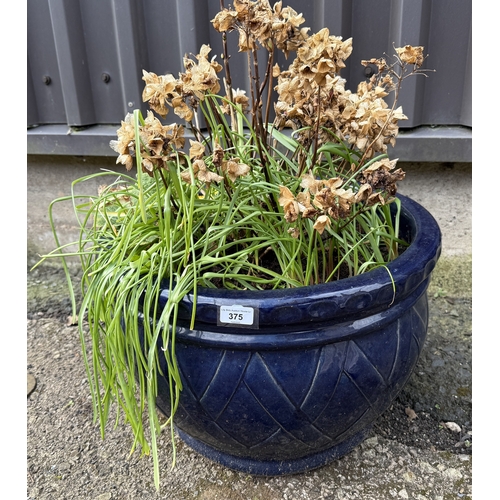 375 - Large blue salt glazed planter with plants