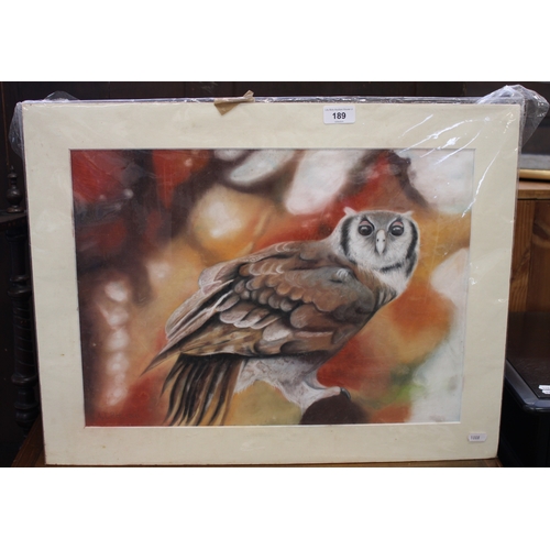 Lot 189       