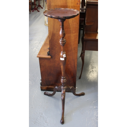 Lot 204       