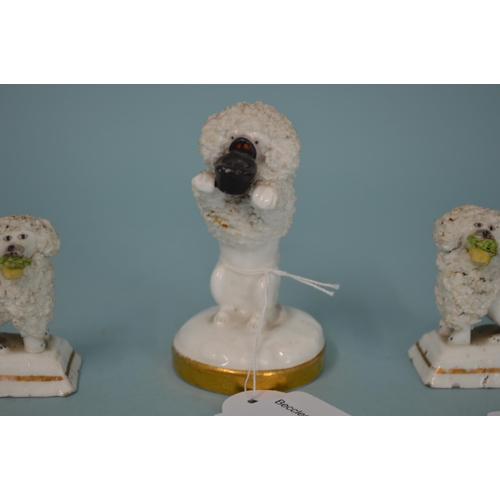 124 - Three 19th Century Staffordshire porcelain poodles, the larger with hat in mouth on gilded base, 3