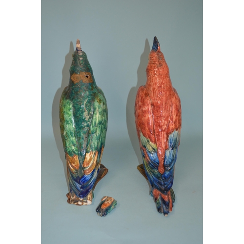 151 - A large pair of late 19th/early 20th Century porcelain parrots, one marked to base R Passgrin Italy,... 