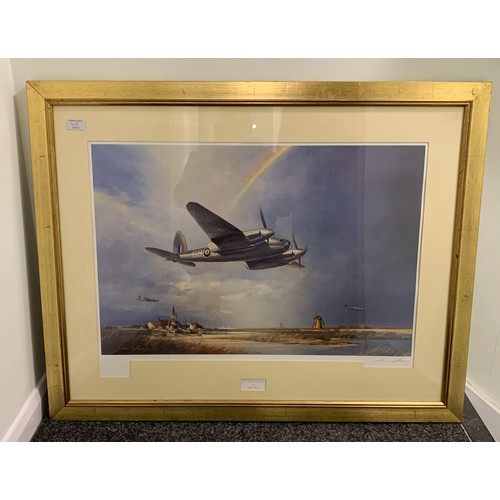 313 - 'Low Flying Mosquito' by John Young, limited edition 625/950, signed by the artist, framed and glaze... 