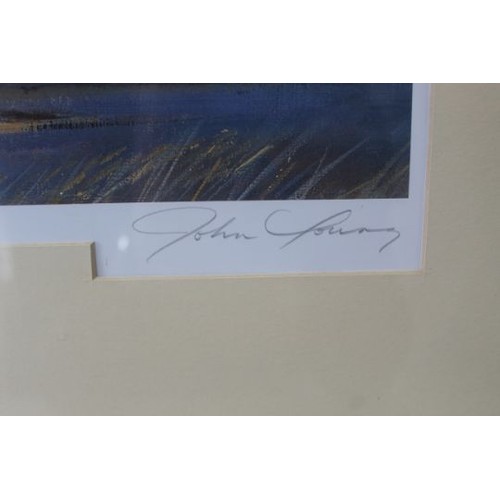 313 - 'Low Flying Mosquito' by John Young, limited edition 625/950, signed by the artist, framed and glaze... 