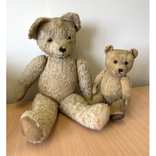 46 - Two vintage mohair teddies with jointed limbs and glass eyes, the largest a Pedigree Ireland with la... 