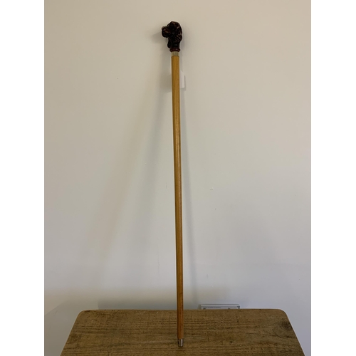 203 - A dogs head walking cane