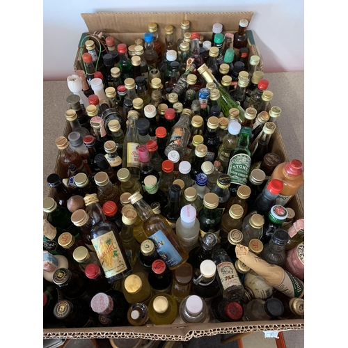 50 - A large box of mixed world miniature liqueurs, wines etc