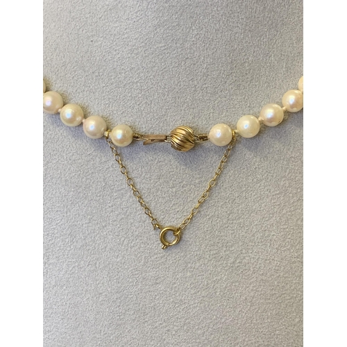 116 - A string of pearls with a good quality yellow metal clasp and safety chain plus a pair of 14ct gold ... 