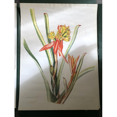 195 - A part filled folio of limited edition prints by Margaret Mee, Brazilian Bromeliads, produced in a l... 