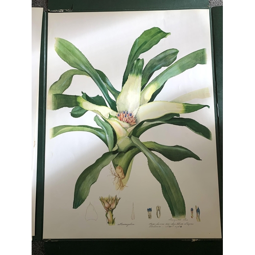 195 - A part filled folio of limited edition prints by Margaret Mee, Brazilian Bromeliads, produced in a l... 