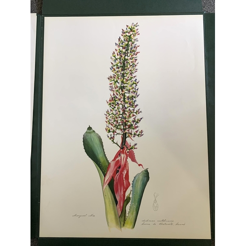 85 - A limited edition portfolio of prints by Margaret Mee, Brazilian Bromeliads, produced in a limited r... 